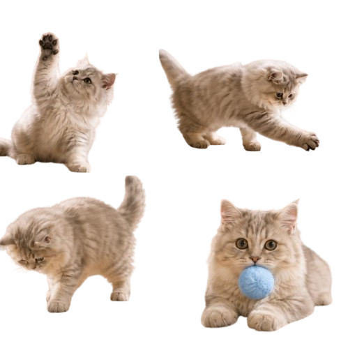 Cat Enrichment Toy Set, 12 Plush Pom Pom Balls, Colorful Interactive Cat Toys