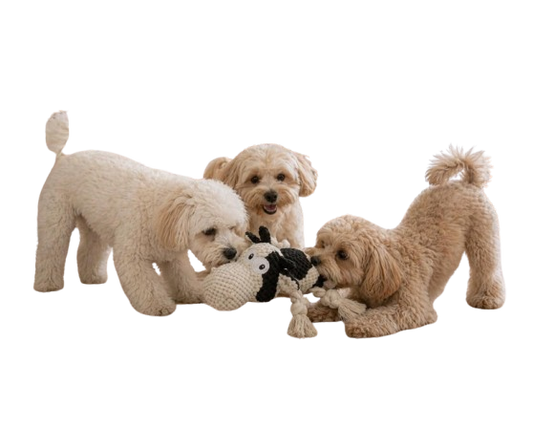 Cow Dog Toy for Puppies, Squeaky Plush Rope Toy with Crinkle Ears
