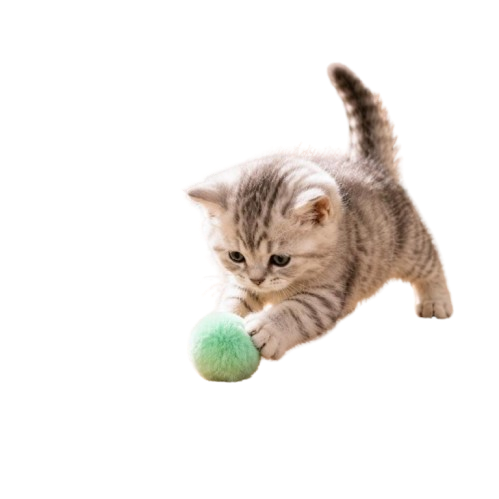 Cat Enrichment Toy Set, 12 Plush Pom Pom Balls, Colorful Interactive Cat Toys