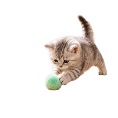 Cat Enrichment Toy Set, 12 Plush Pom Pom Balls, Colorful Interactive Cat Toys