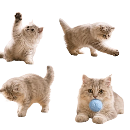Cat Enrichment Toy Set, 12 Plush Pom Pom Balls, Colorful Interactive Cat Toys