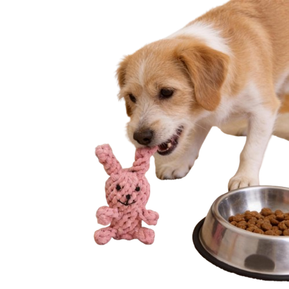Cotton Rope Dog Toy for Chewing and Tugging