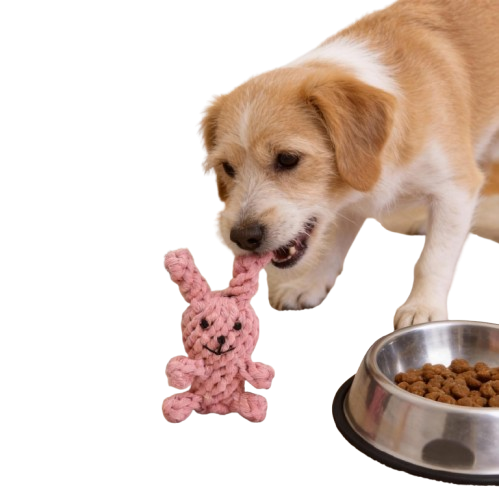 Cotton Rope Dog Toy for Chewing and Tugging