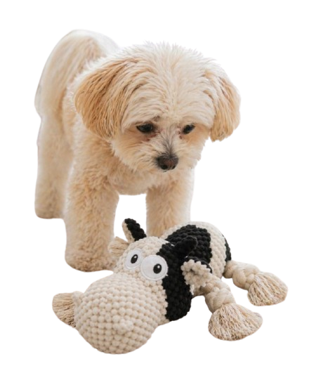 Cow Dog Toy for Puppies, Squeaky Plush Rope Toy with Crinkle Ears