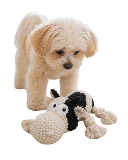 Cow Dog Toy for Puppies, Squeaky Plush Rope Toy with Crinkle Ears