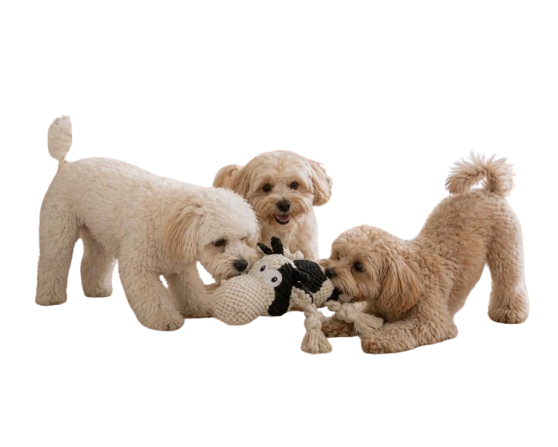 Cow Dog Toy for Puppies, Squeaky Plush Rope Toy with Crinkle Ears
