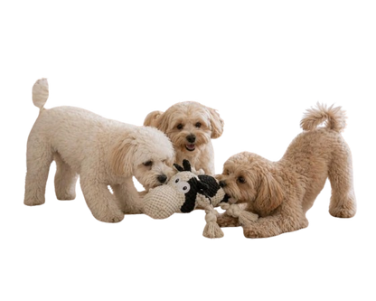 Cow Dog Toy for Puppies, Squeaky Plush Rope Toy with Crinkle Ears