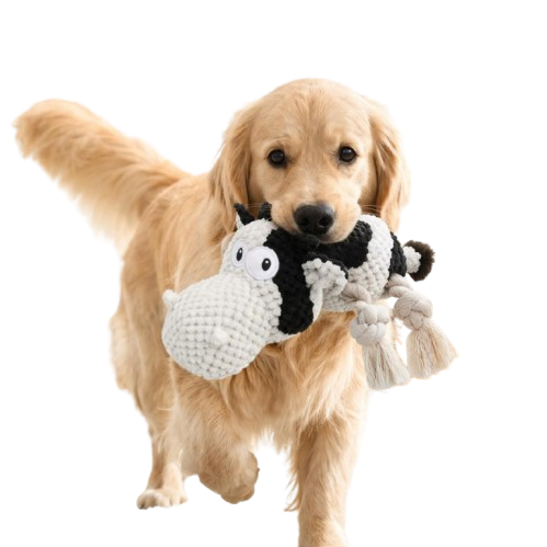 Cow Dog Toy for Puppies, Squeaky Plush Rope Toy with Crinkle Ears