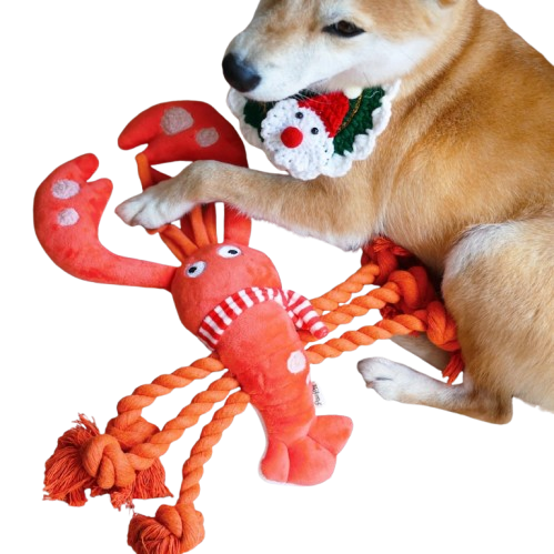 Dog Lobster Rope Toy for Tug of War and Chewing