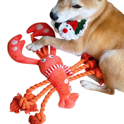Dog Lobster Rope Toy for Tug of War and Chewing