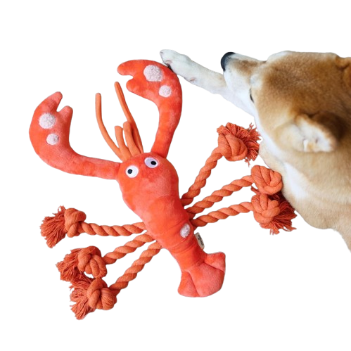 Dog Lobster Rope Toy for Tug of War and Chewing