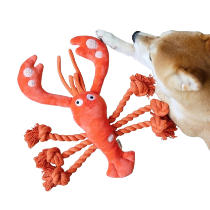 Dog Lobster Rope Toy for Tug of War and Chewing